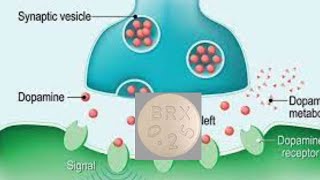 Rexulti Brexpiprazole a Medication for Major Depression Schizophrenia amp Agitation in Dementia [upl. by Kalle]