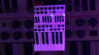 synth minibrute minimalsynth synthesizer industrialnoise [upl. by Esilenna917]