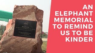 An Elephant Memorial To Remind Us To Be Kinder  Indiatimes [upl. by Eerdua]