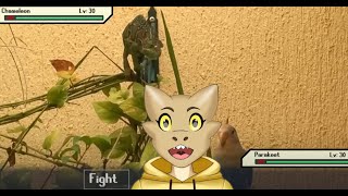 Kaida reacts to Lizard tier list from Tierzoo [upl. by Stets]