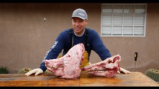 HOW TO CLEAN THE SKULL OF A 600 POUND PIG [upl. by Ennayk934]