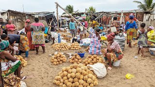 Rural market day in Togo Aflao market where Nigerians  Ghanaian and Togolese shop in west Africa 🌍 [upl. by Nivag]