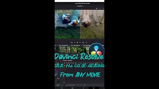 STEAL the COLOR GRADING From ANY MOVIE In Davinci Resolve [upl. by Suoivatnom]