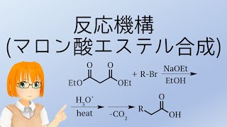 【有機化学・科学】反応機構マロン酸エステル合成【Vtuber】 [upl. by Latsirk]