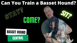 Basset Hound 101  Can You Train a Basset Hound [upl. by Margret]