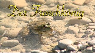 Das Comeback des Froschkönigs Hörbuch frei nach quotDer Froschkönigquot [upl. by Mailli973]