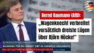 Bernd Baumann AfD „Wagenknecht verbreitet vorsätzlich dreiste Lügen über Björn Höcke“ [upl. by Ahsahs]