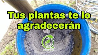 Cómo hacer fertilizante orgánico  biol con estiércol de vaca [upl. by Cassey512]