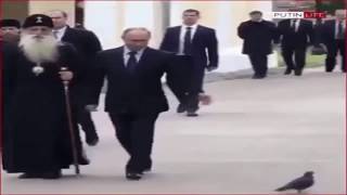 Russian Secret Service Pigeon SALUTES Vladimir Putin [upl. by Carol-Jean]