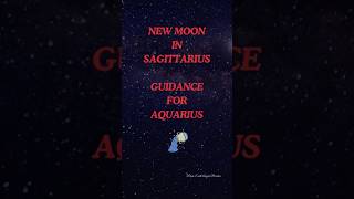 Aquarius  Guidance for New Moon in Sagittarius shorts newmoon fyp Aquarius [upl. by Nagn170]