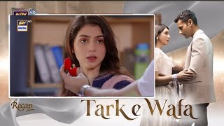 Tark E Wafa Episode 12 Teaser  18 July 2024  Drama Tark e Wafa Episode 12  60 k View Drama [upl. by Deborah]