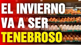 12 Alimentos que DEBES COMPRAR antes de Noviembre [upl. by Stubbs]