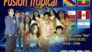 Grupo Fusion Tropical  Mix Fusion II [upl. by Arolf233]