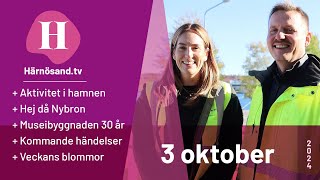 Härnösandtv  3 oktober 2024 [upl. by Dlanger]