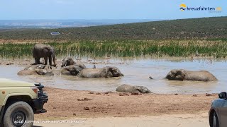 Südafrika amp Namibia mit AIDAmira [upl. by Fredek981]