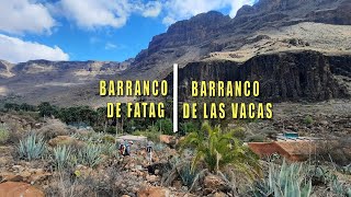 Gran Canaria Barranco de Fataga amp Baranco de las Vavas [upl. by Auston]