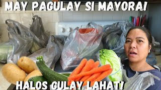 BUHAY AMERIKA NAGPAGULAY SI MAYORA ANG DAMING PA GROCERY [upl. by Valaree]