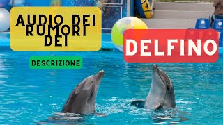 Audio dei rumori dei delfini  descrizione 🐬 Suoni del fischio del delfino 🐬 🔈 [upl. by Alya860]