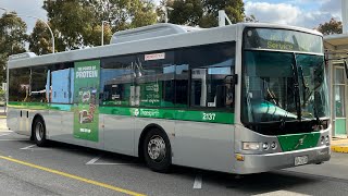 Transperth TP2137  Volvo B7RLE [upl. by Aesoh]