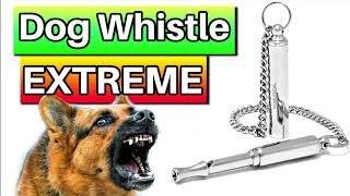 Dog Whistle 10 hours [upl. by Asiulairam]