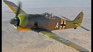 What Makes This Plane Great  FockeWulf FW 190 [upl. by Attenehs]