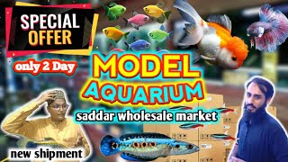 SADDAR FISH AQUARIUM  model aquarium saddar fish aquarium wholesale market KARACHI SPECIAL OFFERS [upl. by Ydne]