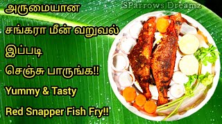 சங்கரா மீன் வறுவல்  Sankara Fish Fry In Tamil  Spicy amp Tasty Fish Recipe  Red Snapper Fish Fry [upl. by Aisinut856]