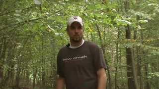 Making Mock Scrapes Whitetail Deer Hunting [upl. by Annavoig]