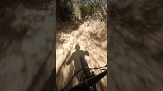 MTB GMR East  Propain Tyee [upl. by Yseulte]