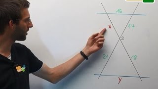 Strahlensätze 1 amp 2 Rechnung mit beiden Strahlensätzen  Geometrie [upl. by Tennek]