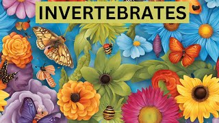 Discover the AMAZING World of Invertebrates [upl. by Nesnar]