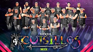 Banda Cuisillos  Puras Cumbias musicamexicana musicabanda [upl. by Joannes]