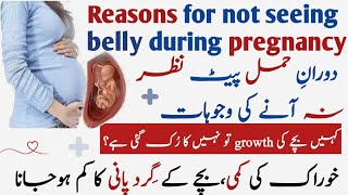 Reasons For Not Seeing Belly During Pregnancy  Hamal Mein Pait Nazar Na any Ki Wajhuat Aqsa Mubeen [upl. by Aihsel]