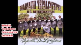 Mariachi Tepalcatepec Canta Amorcito Consentido [upl. by Imrots622]