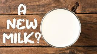 I Accidentally Discovered a New DairyFree Milk – You Won’t Believe What It Is Vegan Milk [upl. by Newlin211]