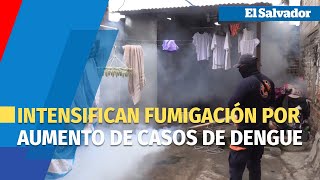 El Salvador intensifica fumigación por aumento de casos de niños con dengue [upl. by Semaj524]