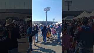 Goya gente telonarro goya cu pumas fanid estadioolímpico byeliguilla [upl. by Kcirneh745]