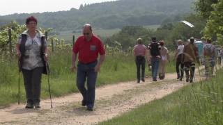 Wandern im Rheingau [upl. by Salvay378]