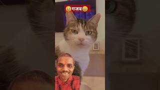 Gajab reaction comedy funny cat ajaypop abcvlogs dipuamanvlogs shorts [upl. by Kissiah276]