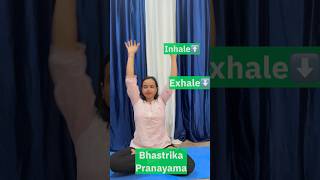 Benefits of Bhastrika Pranayama youtubeshorts shortvideo shorts breathing [upl. by Winstonn977]