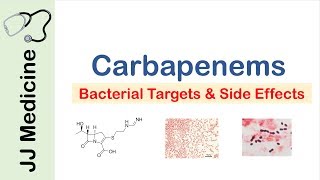 Carbapenems  Bacterial Targets Mechanism of Action Side Effects [upl. by Eniladam]