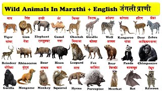 wild animals english to marathi with pdf  जंगली प्राणी  जंगली जानवर  download pdf [upl. by Ahsekad10]