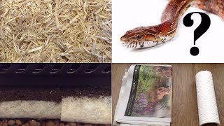 Corn Snakes  Which Substrate Should I Use [upl. by Ynabla386]