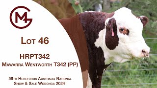 Lot 46 Mawarra Wentworth T342 PP [upl. by Archer490]