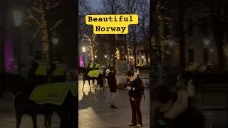 Beautiful Norway in Christmas 💕 shorts viralvideos viralshort ytshorts yt [upl. by Anaitat811]