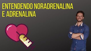 Entendendo a Adrenalina e a Noradrenalina [upl. by Ylelhsa]