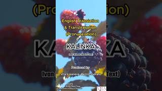 Kalinka Russian song lyrics in English kalinka lyrics russianmusic singing kalinkalyrics songs [upl. by Enelime]