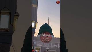 Aurato ke hukuk huzur ﷺ ne kase diye ytshorts weloveislam freepalestin love youtubeshorts live [upl. by Odraleba]