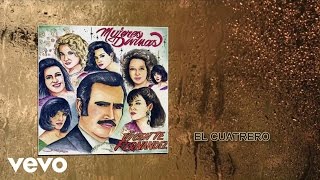 Vicente Fernández  El Cuatrero Cover Audio [upl. by Littman]