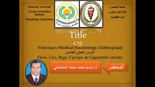 Practical Lesson 5 Arthropoda 5Dr Bassem Elmishmishy [upl. by Tristram243]